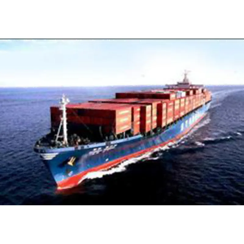 Sea Service에 의한 문에 대한 지불 옵션은 무엇입니까?